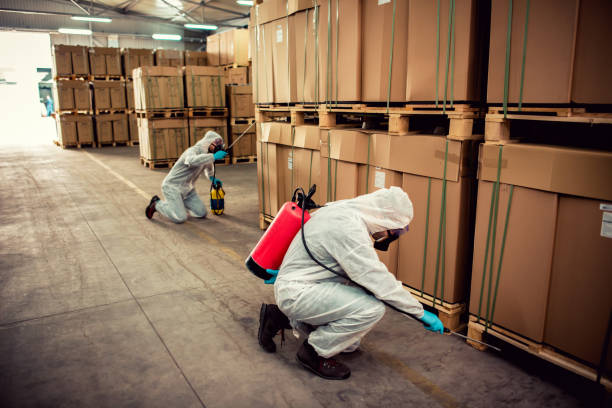 Reliable Sanford, ME Pest Control Solutions