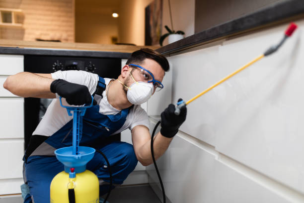 Pest Control for Restaurants in Sanford, ME