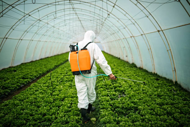 Best Best Pest Control Companies  in Sanford, ME