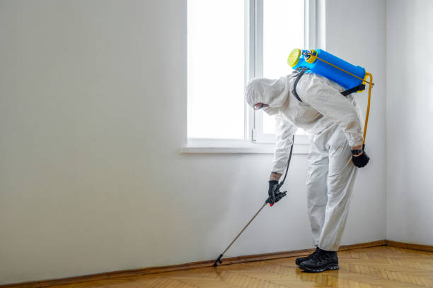 Best Pest Removal Services  in Sanford, ME