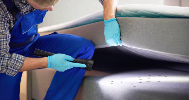 Best Local Pest Control Services  in Sanford, ME