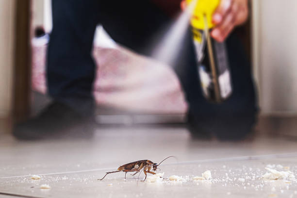 Best Affordable Pest Control Services  in Sanford, ME